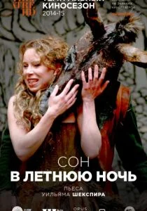 Сон в летнюю ночь (2014)