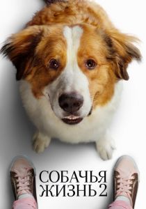 Собачья жизнь 2 (2019) Собачья жизнь 2 (2019)
