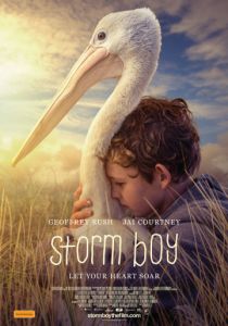 Штормовой мальчик (2019) Штормовой мальчик (2019)