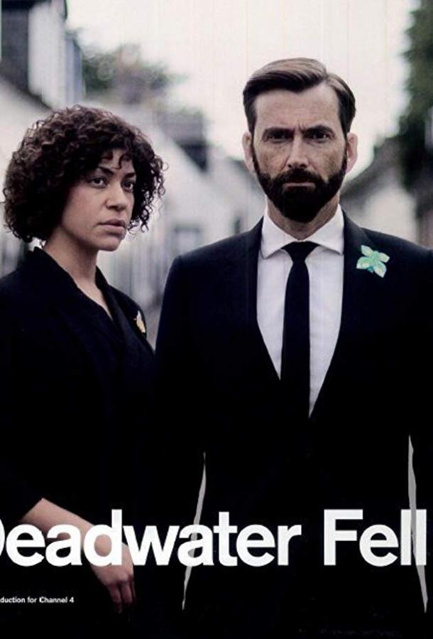 Падение в мертвые воды (сериал, 2020)