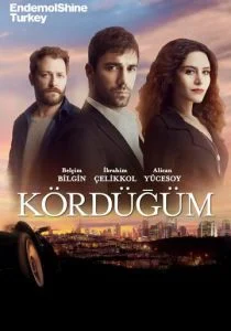 Узел (сериал, 2016)