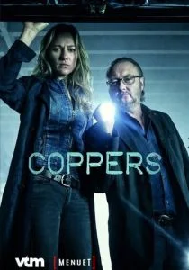 Грубое правосудие (сериал, 2016)