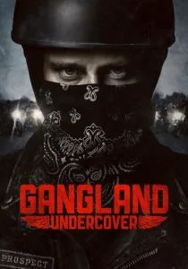 Под прикрытием (сериал, 2015)