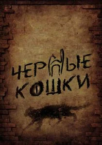 Черные кошки (сериал, 2013)