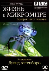 BBC: Жизнь в микромире (сериал, 2005)