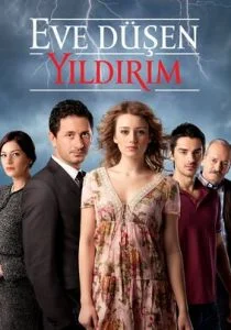 В дом упавшая молния (сериал, 2012)