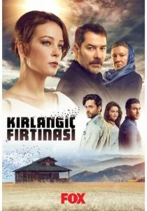 Шторм ласточки (сериал, 2017)