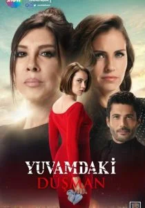 Враг в моем доме (сериал, 2018)