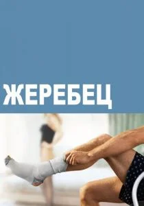 Жеребец (сериал, 2009)