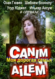 Дорогая моя семья (сериал, 2008)