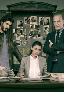 Под подозрением (сериал, 2014)