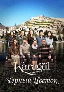 Чёрный цветок / Чёрная роза (сериал, 2013)