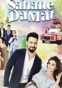 Замечательный зять (сериал, 2016)