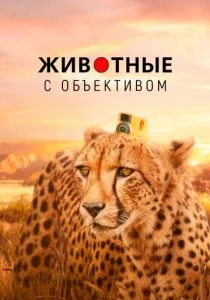 Животные в объективе (сериал, 2018)