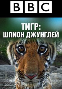 BBC: Тигр — Шпион джунглей (сериал, 2008)