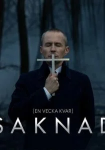 Пропавшая (сериал, 2017)