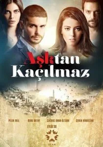 От любви не убежать (сериал, 2014)