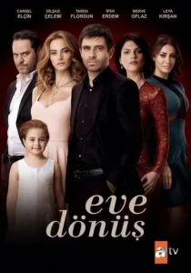 Возвращение домой (сериал, 2015)