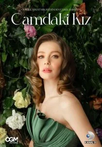 Девушка за стеклом (сериал, 2021)