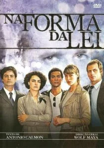 В форме закона (сериал, 2010)