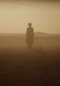 Отголоски (2014)