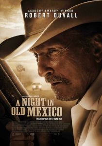 Ночь в старой Мексике (2013)