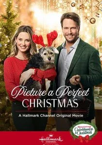 Образ идеального Рождества (2019)