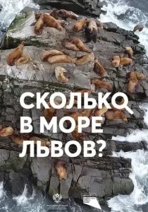 Сколько в море львов? (2018)