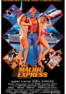 Малибу-экспресс (1985)