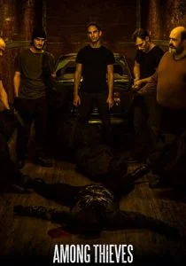 Среди грабителей (2019)