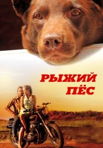 Рыжий пес (2011)