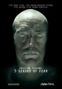 5 чувств страха (2013)