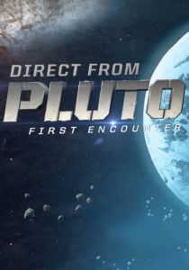 Плутон: Первая встреча (2015)