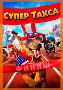 Шелли снова в деле (2015)