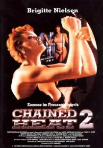 Женщины за решеткой 2 (1993)