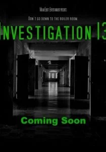 Расследование 13 (2019)