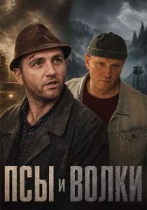 Псы и волки (сериал, 2025)